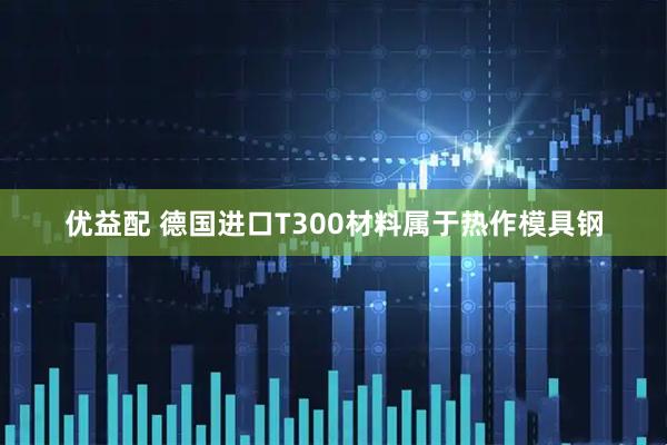 优益配 德国进口T300材料属于热作模具钢